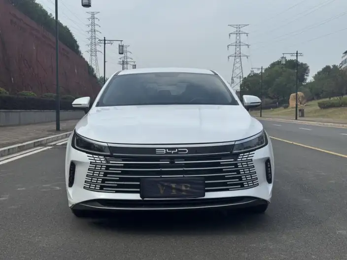 BYD Destroyer 05 2024 Model Honor Edition DM-i 55KM Luxury Model – фото 2