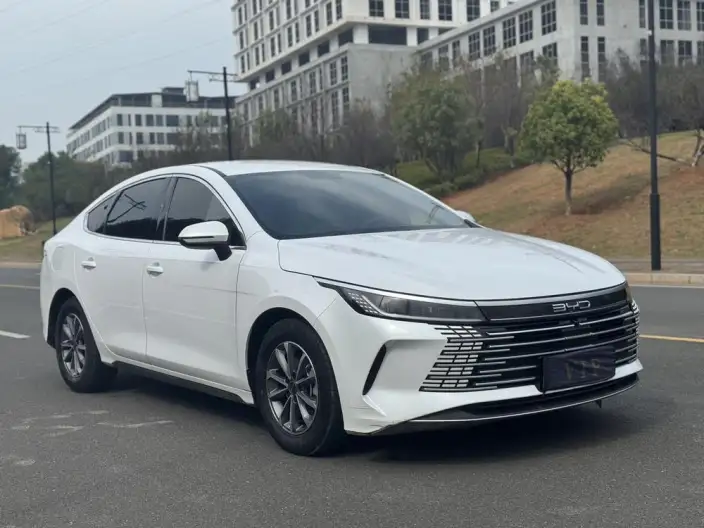 BYD Destroyer 05 2024 Model Honor Edition DM-i 55KM Luxury Model – фото 3