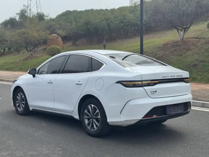 BYD Destroyer 05 2024 Model Honor Edition DM-i 55KM Luxury Model – фото 4