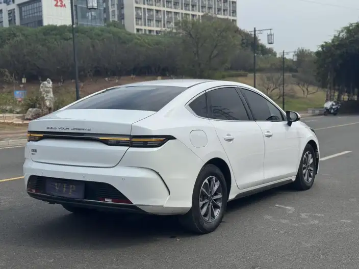 BYD Destroyer 05 2024 Model Honor Edition DM-i 55KM Luxury Model – фото 6
