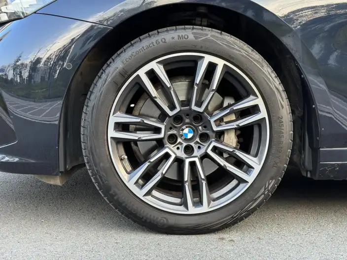 BMW 5 Series 2024 Model 530Li Leading Model M Sports Set – фото 9