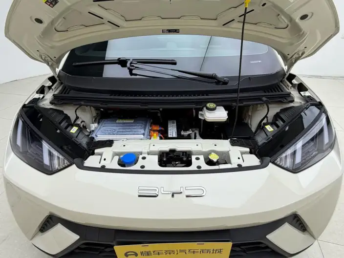 BYD Seagull 2023 Model Free Edition – фото 10