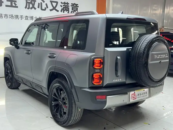 HAVAL Menglong PHEV 2024 Model 1.5T Hi4 102 Pro