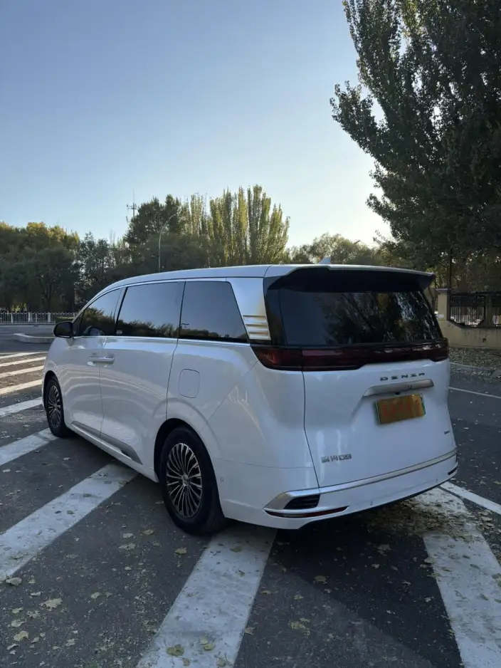 DENZA D9 DM 2022 Model 970 4WD Flagship Model – фото 4