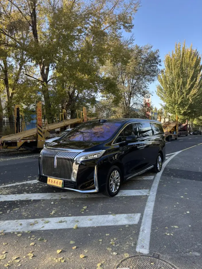 Wey Gaoshan P HEV 2025 Model 4WD Wey Gaoshan 7