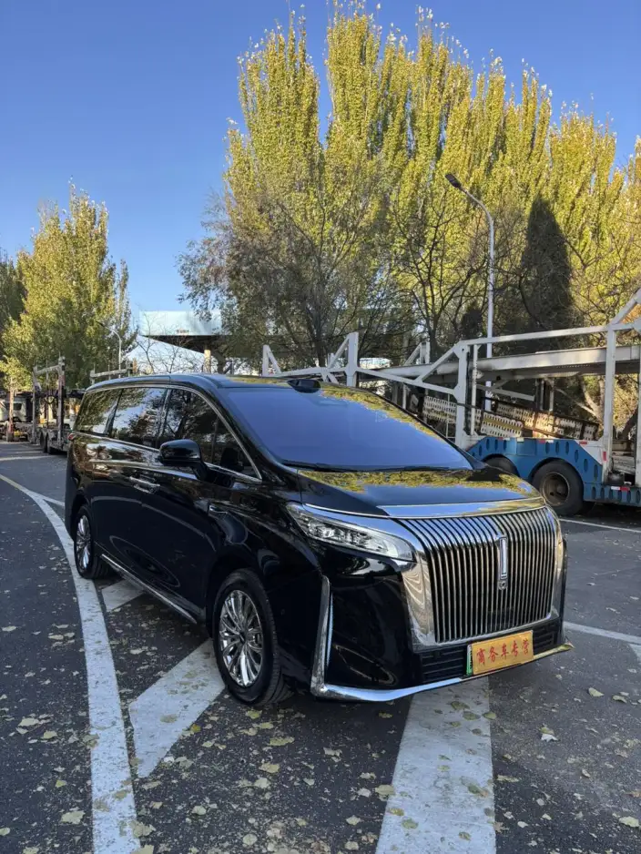 Wey Gaoshan P HEV 2025 Model 4WD Wey Gaoshan 7