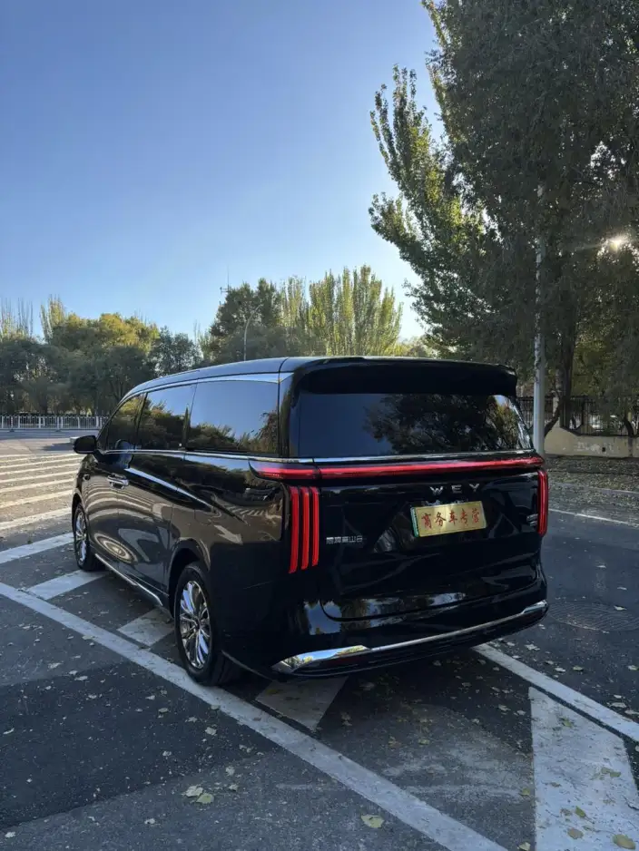 Wey Gaoshan P HEV 2025 Model 4WD Wey Gaoshan 7