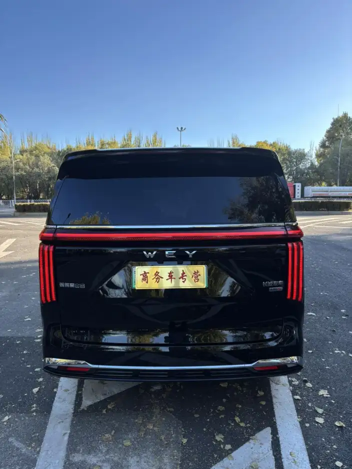 Wey Gaoshan P HEV 2025 Model 4WD Wey Gaoshan 7 – фото 5