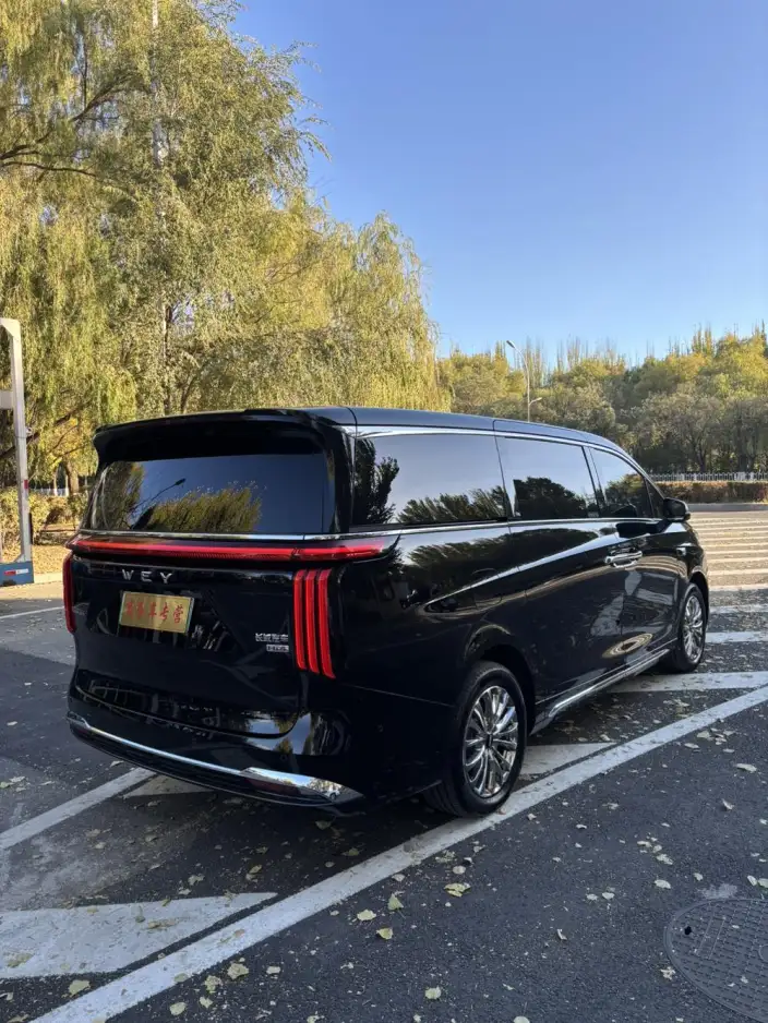 Wey Gaoshan P HEV 2025 Model 4WD Wey Gaoshan 7 – фото 6