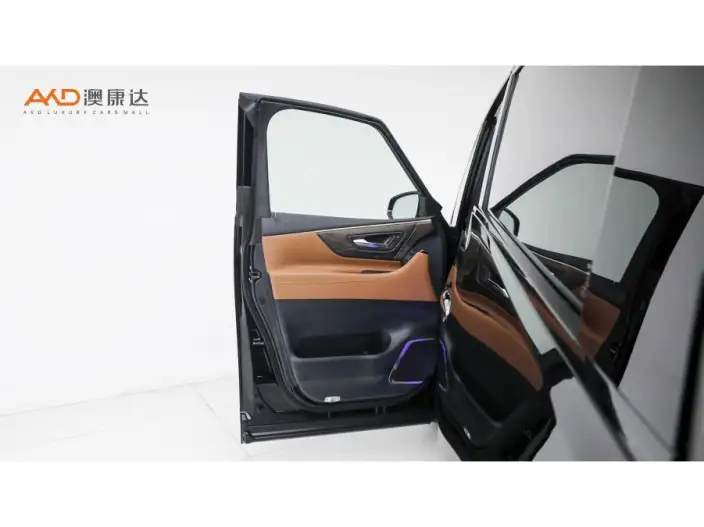 Elfa 2023 Model 2.5L Intelligent Hybrid 4WD Premium Edition – фото 9