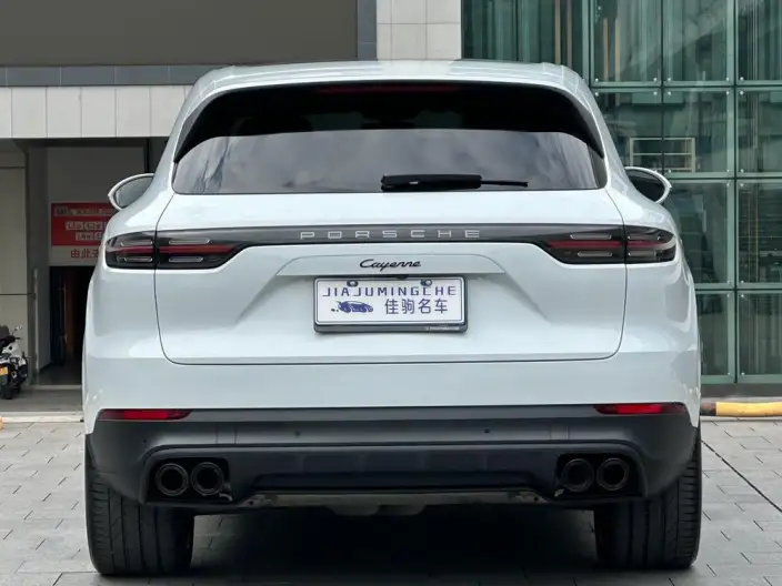 Cayenne 2023 Model Cayenne 3.0T Platinum edition – фото 6