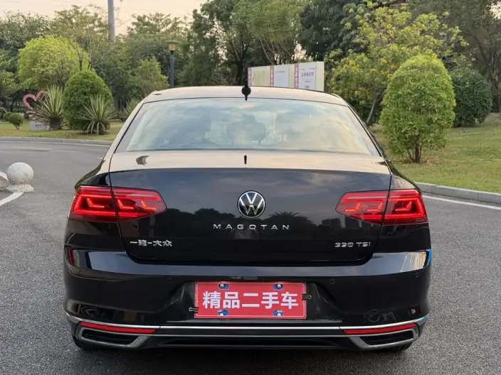 Volkswagen Magotan 2020 Model 330TSI DSG Luxury Model – фото 5