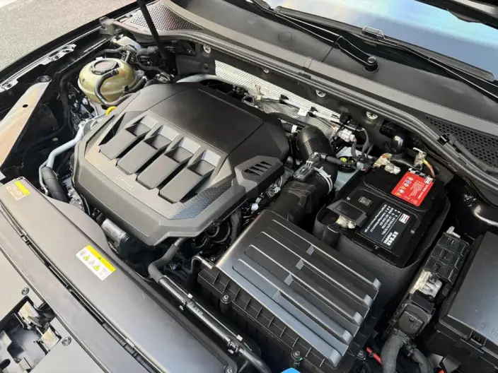Volkswagen Magotan 2020 Model 330TSI DSG Luxury Model – фото 7