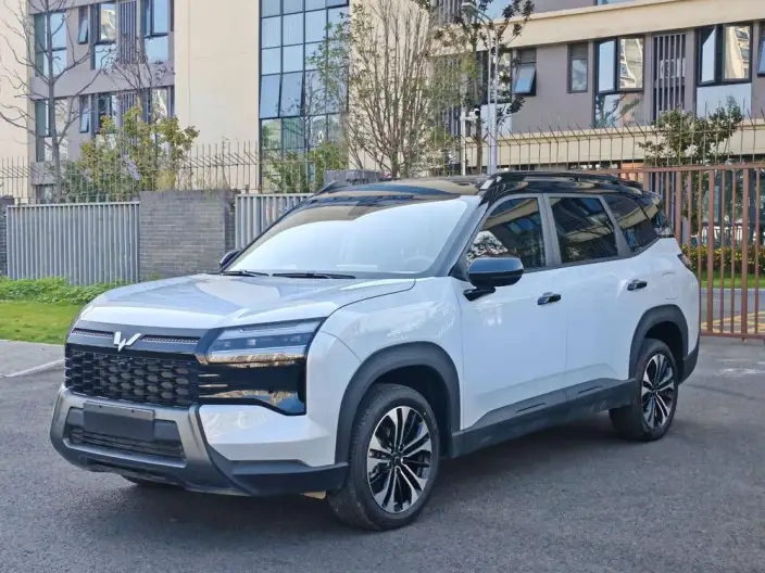 Xingguang 560 PHEV 2026 Model 125km Luxury Model