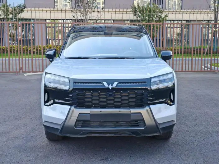 Xingguang 560 PHEV 2026 Model 125km Luxury Model