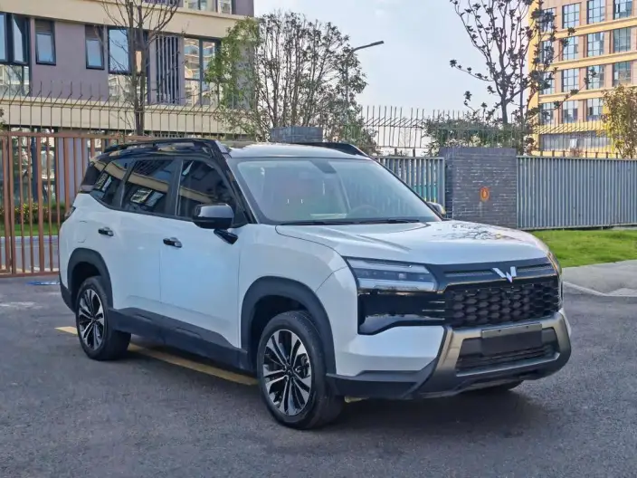 Xingguang 560 PHEV 2026 Model 125km Luxury Model