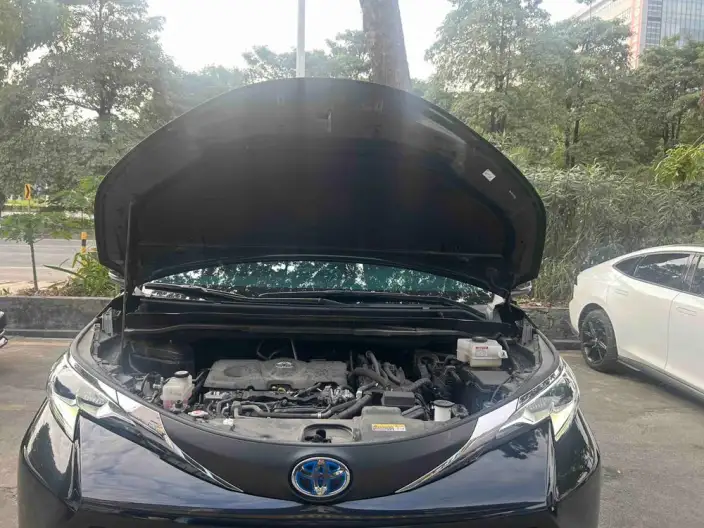 Toyota Sienna 2024 Model Hybrid 2.5L Comfort Edition – фото 10