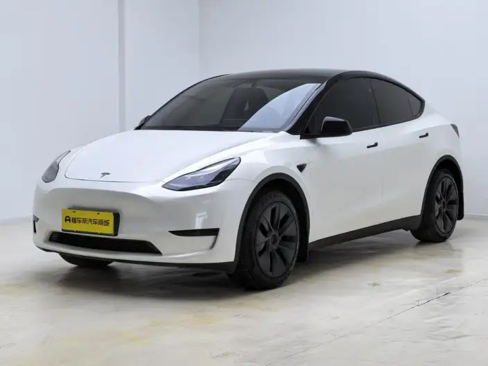 Model Y 2024 Model Rear-wheel drive version – фото 1
