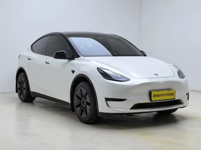 Model Y 2024 Model Rear-wheel drive version – фото 3