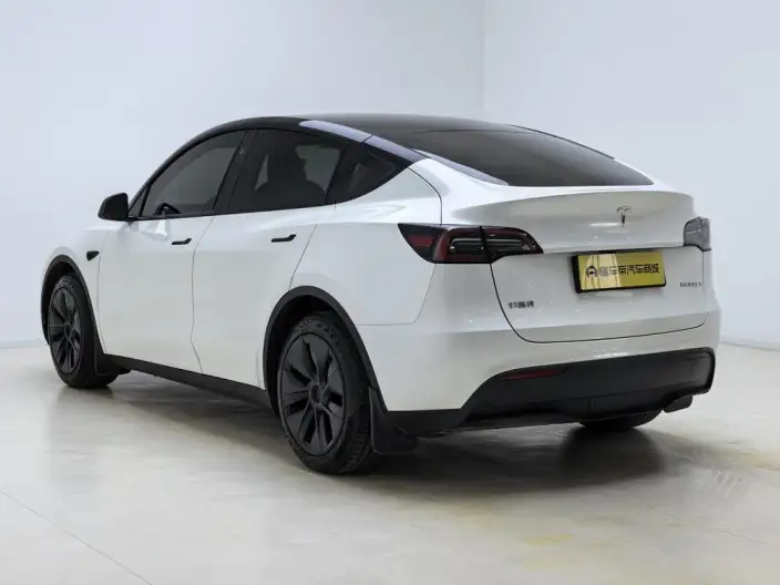 Model Y 2024 Model Rear-wheel drive version – фото 5