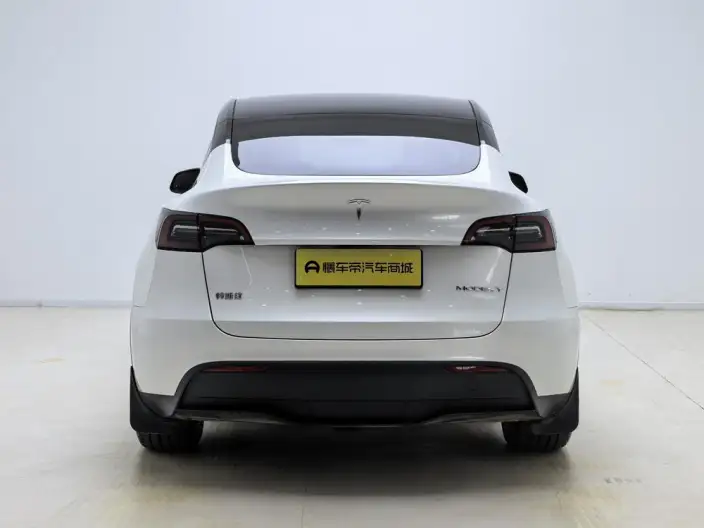 Model Y 2024 Model Rear-wheel drive version – фото 6