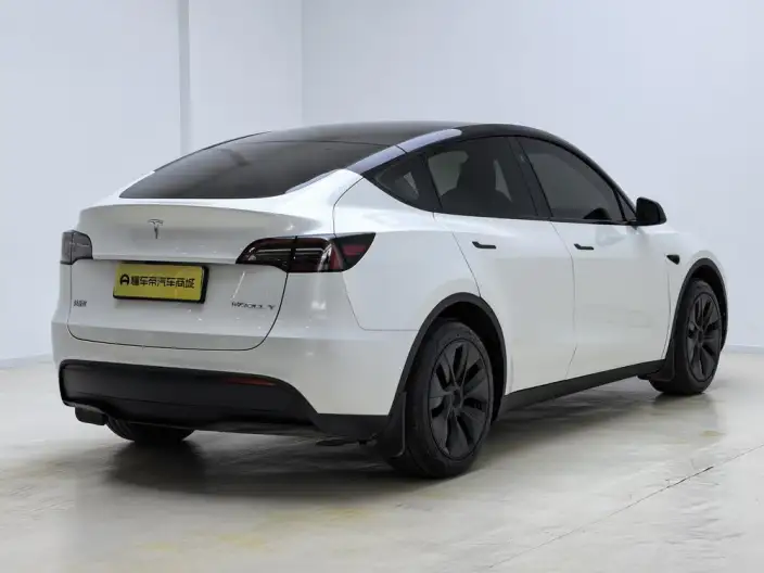 Model Y 2024 Model Rear-wheel drive version – фото 7