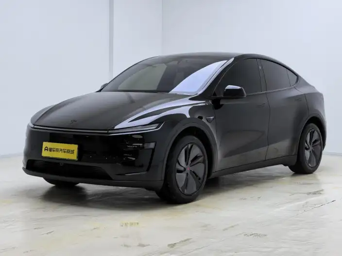 Model Y 2026 Model Rear-wheel drive version – фото 1