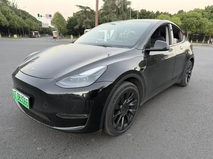 Model Y 2022 Model Facelift Long Battery Life Pro All-wheel drive version – фото 1