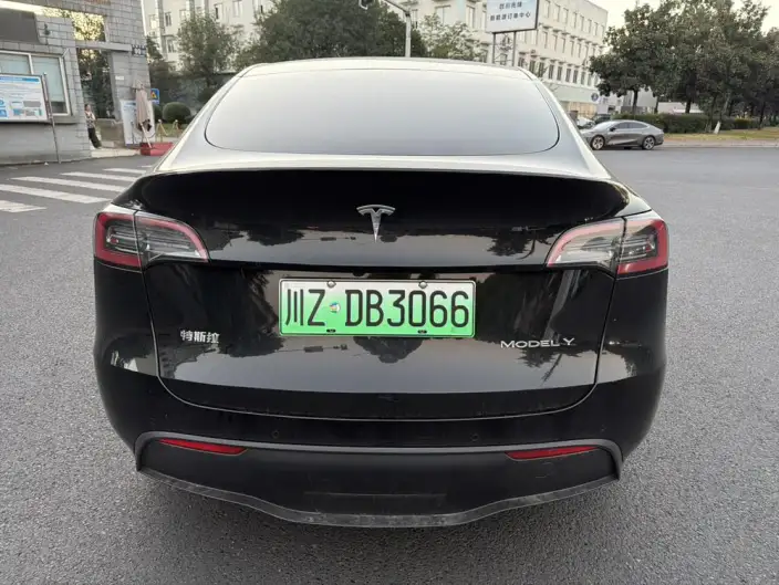 Model Y 2022 Model Facelift Long Battery Life Pro All-wheel drive version – фото 6