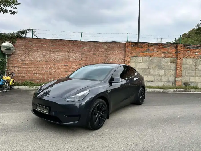 Model Y 2024 Model Rear-wheel drive version – фото 1