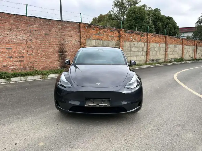 Model Y 2024 Model Rear-wheel drive version – фото 2