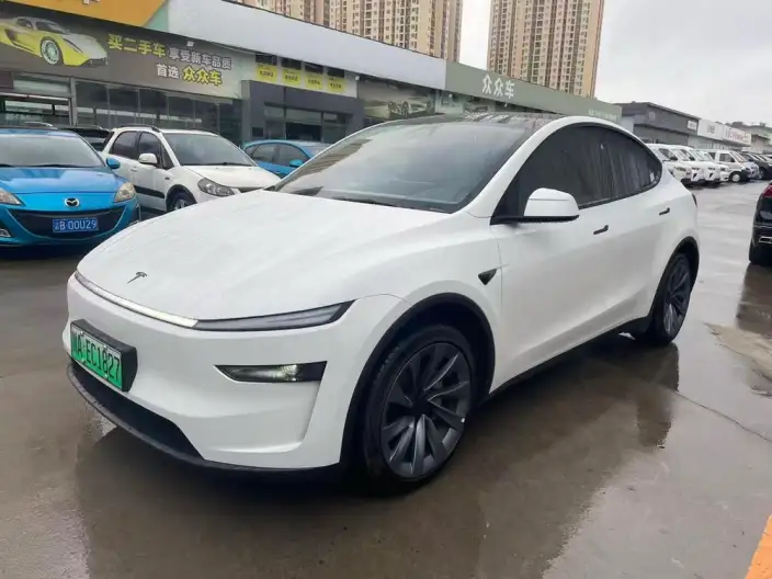 Model Y 2025 Model Long Battery Life Pro Rear-wheel drive version – фото 1