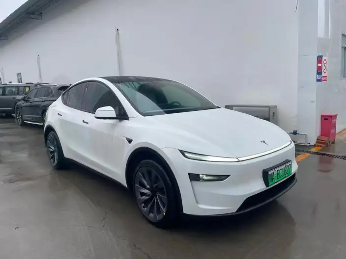 Model Y 2025 Model Long Battery Life Pro Rear-wheel drive version – фото 2
