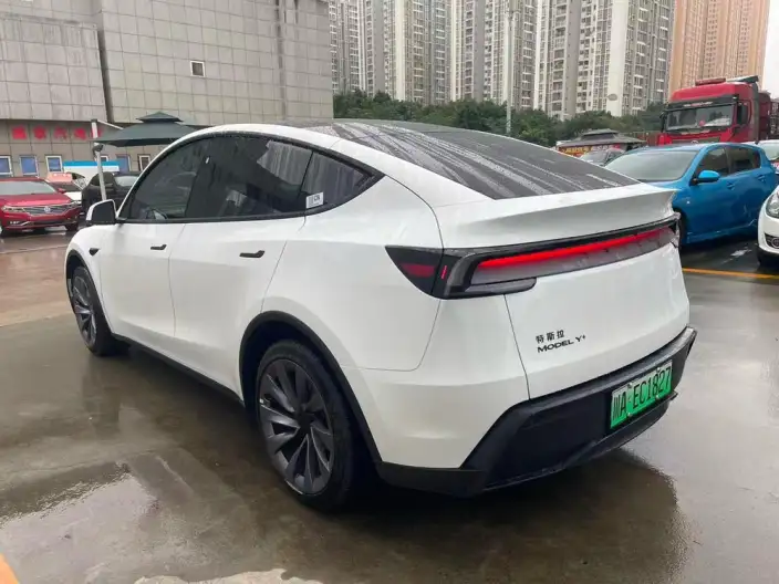 Model Y 2025 Model Long Battery Life Pro Rear-wheel drive version – фото 3