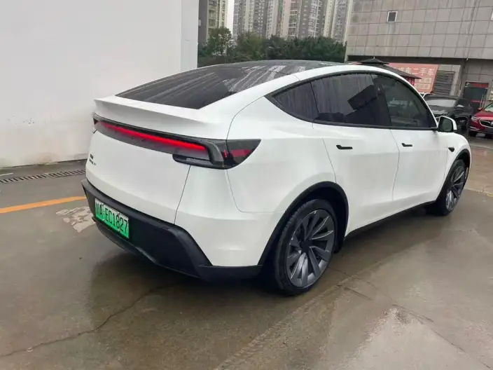 Model Y 2025 Model Long Battery Life Pro Rear-wheel drive version – фото 4