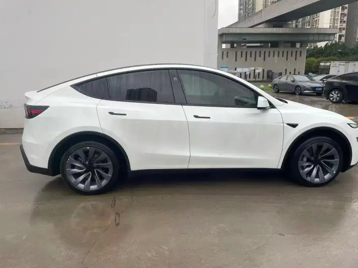 Model Y 2025 Model Long Battery Life Pro Rear-wheel drive version – фото 5