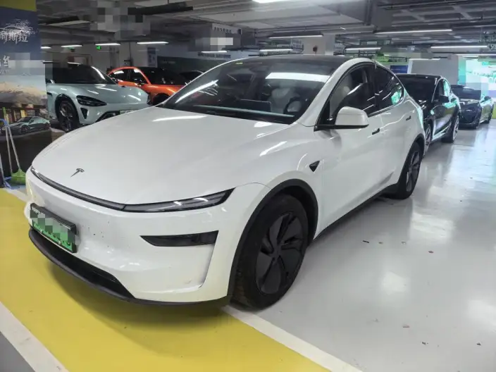 Model Y 2025 Model Facelift Long Battery Life Pro All-wheel drive version – фото 1