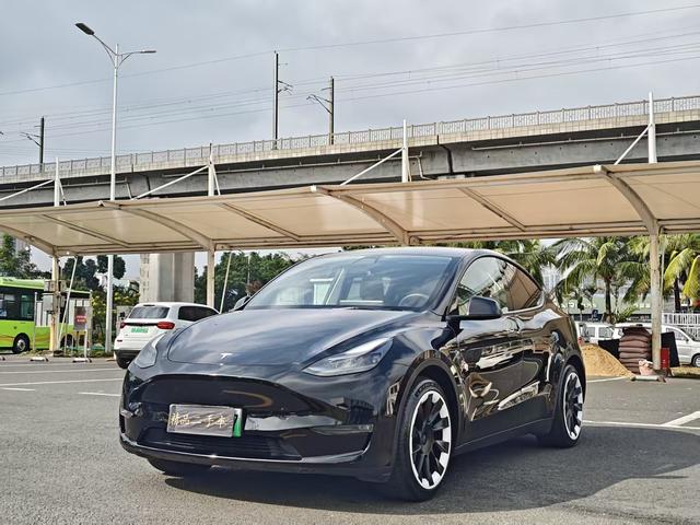 Tesla Model Y 2021 Standard Range RWD – фото 1
