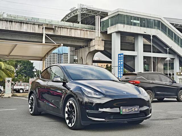 Tesla Model Y 2021 Standard Range RWD – фото 3