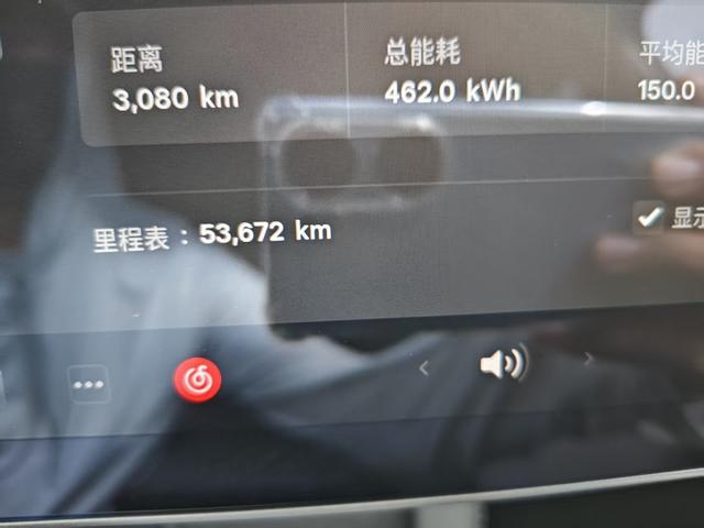 Tesla Model Y 2021 Standard Range RWD – фото 12