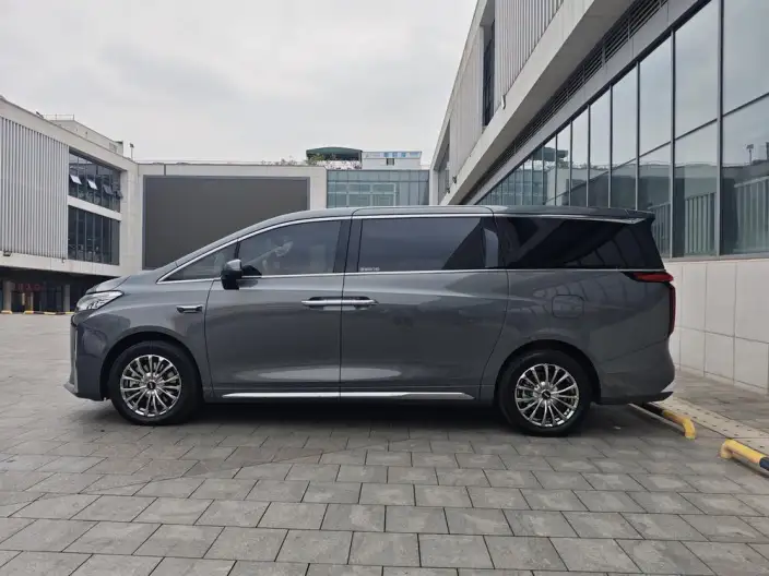 Wey Gaoshan P HEV 2025 Model 4WD Wey Gaoshan 8
