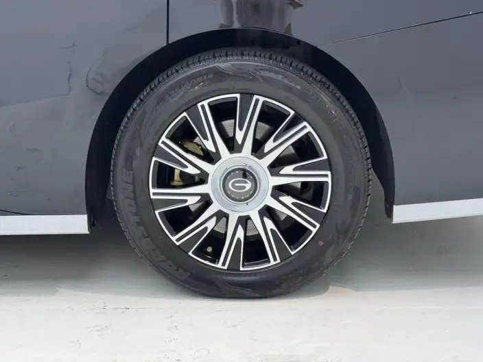GAC Trumpchi E9 PHEV 2024 Model 2.0TM Champion Edition – фото 9