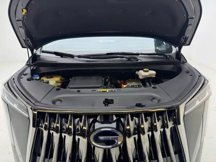 GAC Trumpchi E9 PHEV 2024 Model 2.0TM Champion Edition – фото 10