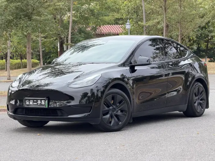 Model Y 2023 Model Rear-wheel drive version – фото 1