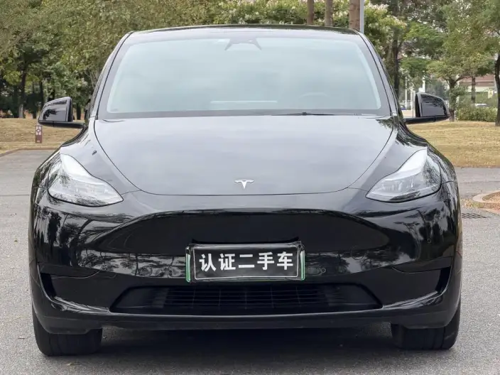 Model Y 2023 Model Rear-wheel drive version – фото 2