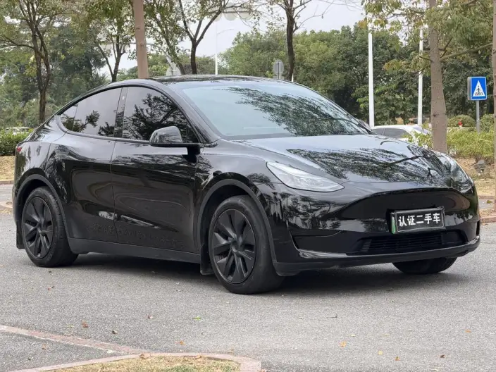 Model Y 2023 Model Rear-wheel drive version – фото 3