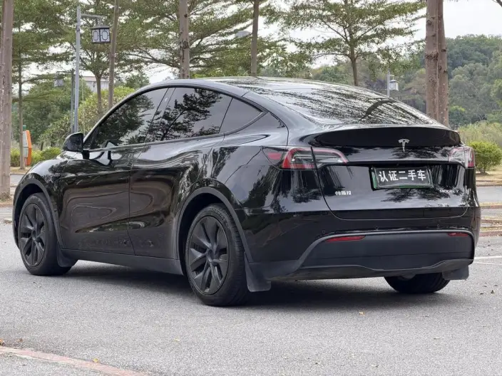 Model Y 2023 Model Rear-wheel drive version – фото 4