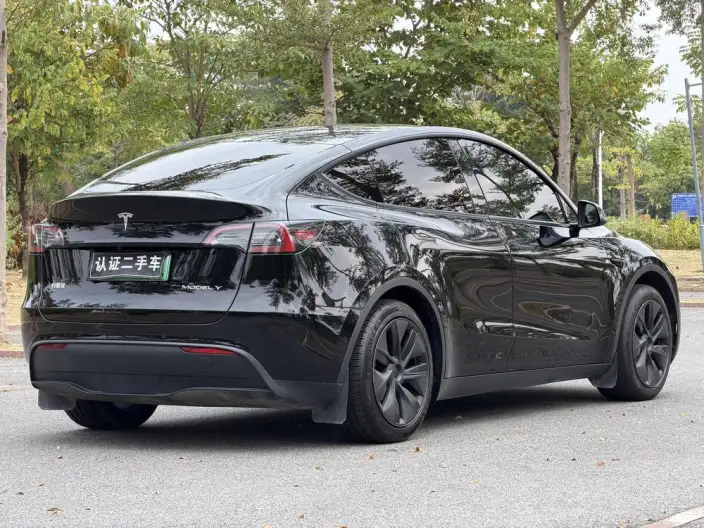 Model Y 2023 Model Rear-wheel drive version – фото 6