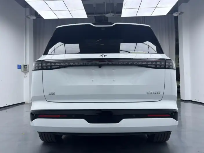 eπ 008 2024 Model 636Max EV Edition 6 seat – фото 5
