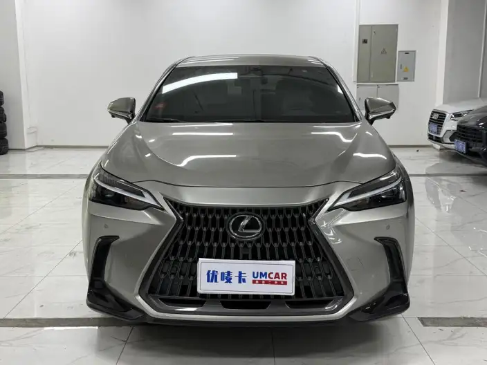 Lexus NX 2022 Model 260 Qian Drive Innovation Drive Edition